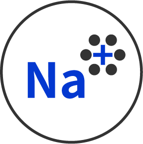 Na+電池<br />平臺(tái)技術(shù)